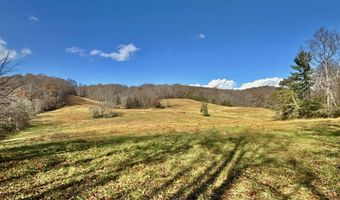 1520 Brittontown Rd, Afton, TN 37616