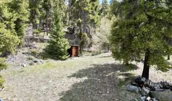 103 Main St, Almont, CO 81210