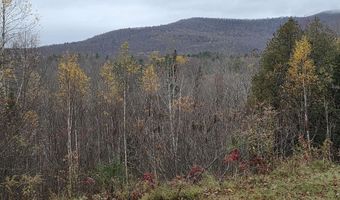 1846 Dartt Hill Rd, Bethel, VT 05032