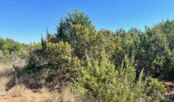 2425 Braune Rd, Abilene, TX 79606