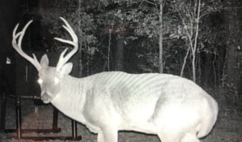 E 1931 RD, Antlers, OK 74523