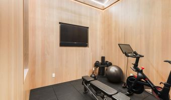 62 Bennett Ct, Aspen, CO 81611