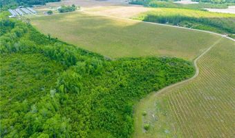 Tract 18 Sellers Road NW, Baxley, GA 31513