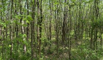 105 106 TOWBOAT Ln Lot 105 106, Adamsville, TN 38310
