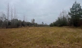 Wilburn Taylor Road, Buckatunna, MS 39322
