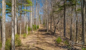 Saylor Lake Road, Bakersville, NC 28705