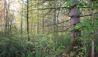 0 Midline Rd, Amsterdam, NY 12010