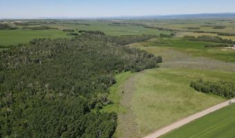 N 4600 E, Ashton, ID 83420