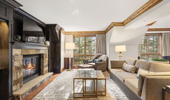 315 E Dean St B65, Aspen, CO 81611