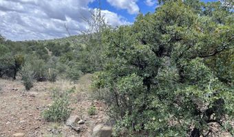 415 XYZ, Arenas Valley, NM 88022