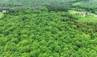 8560 Old State Rd, Alden, NY 14709