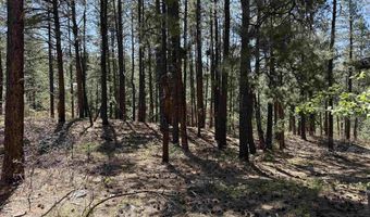 156 Lake View Cir, Bayfield, CO 81122