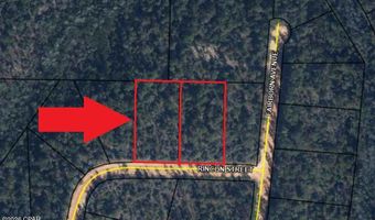 Rincon Street lot 2 & 3, Alford, FL 32420