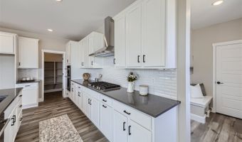 4223 Crestone Peak St Plan: Artisan 3, Brighton, CO 80601