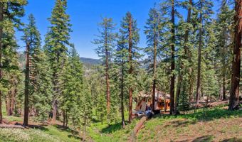 309 Snowshoe Rd, Bear Valley, CA 95223