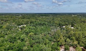 SW Gator Trl, Arcadia, FL 34266