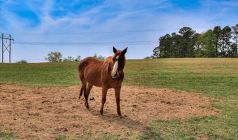 125 Peach Cider Rd, Batesburg Leesville, SC 29006