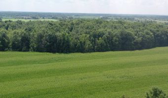 6305 W US Highway 223, Adrian, MI 49221