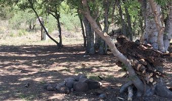 3125 S VERDE LAKES Dr 178, Camp Verde, AZ 86322