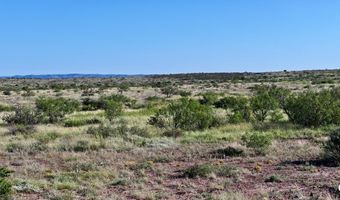 TR 24R Sierra La Rana, Alpine, TX 79830