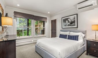 738 S Galena St 1-C, Aspen, CO 81611