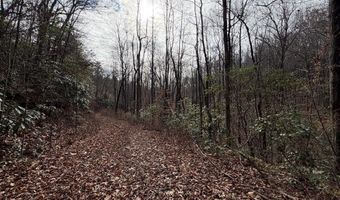 135 49ac Webb Creek Rd, Andrews, NC 28901