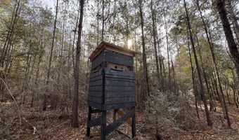 259 Forest Lake Rd, Beaumont, MS 39423