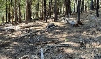 758 Yuroc Dr, Arnold, CA 95223