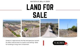 NW 50th STREET, Bell, FL 32619
