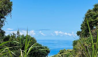 87-2721 Hawaii Belt Rd, Captain Cook, HI 96704