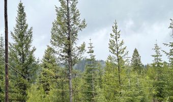 27 Sawtooth Loop Lot 23, Cascade, ID 83611