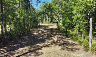 7 Milcrest Dr, Awendaw, SC 29429