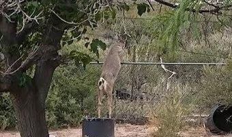 3644 W VISTA DEL VIEJO, Bisbee, AZ 85603