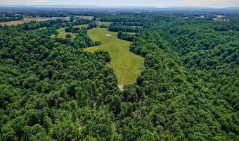 8495 Baxter Rd, Baxter, TN 38544