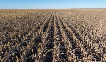 00000 CR 140, Alexander, KS 67513