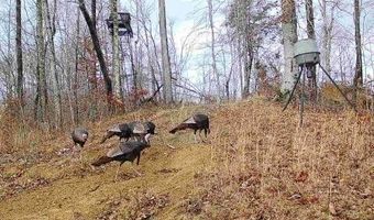 2291 Blankey Branch Rd, Beattyville, KY 41311