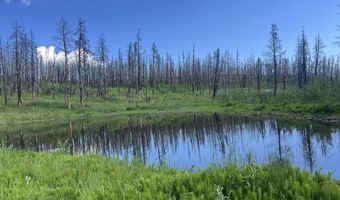 2493 Greer Rd, Bellvue, CO 80512