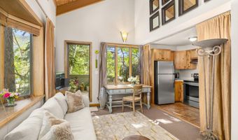 125 E Hyman Ave 1A, Aspen, CO 81611