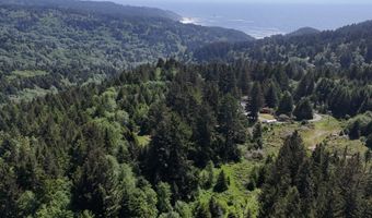 20452 Whaleshead Rd, Brookings, OR 97415