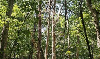 65 Acres Plainview Rd, Anderson, MO 64831