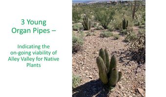 0 Alley Rd, Ajo, AZ 85321