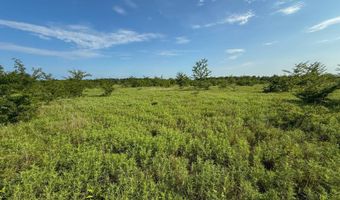 Tract 2 Highway 70 Acres, Bennington, OK 74723