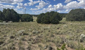 79 Alpine Ln, Concho, AZ 85924