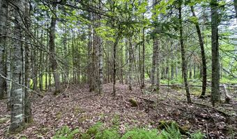 M5 L27-3 Marks Road, Albion, ME 04910