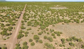 132 Co Rd 8061 1.26 Acres, Concho, AZ 85924