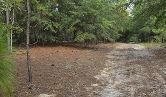 317 R J Johnson Rd, Allendale, SC 29810