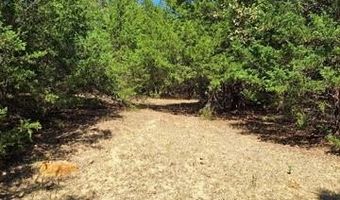 County Road 3665, Allen, OK 74825