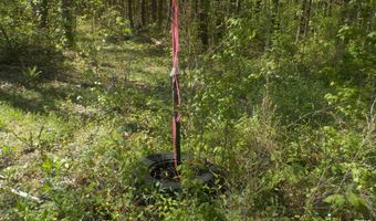 Steve Brown Road, Bean Station, TN 37708