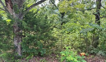 1 31 AC Wood River Ln, Allons, TN 38541