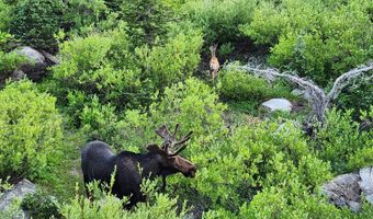 8101 S MILLICENTVIEW Ln, Brighton, UT 84121